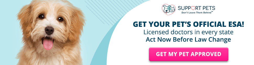 Get Your Pet's Official ESA