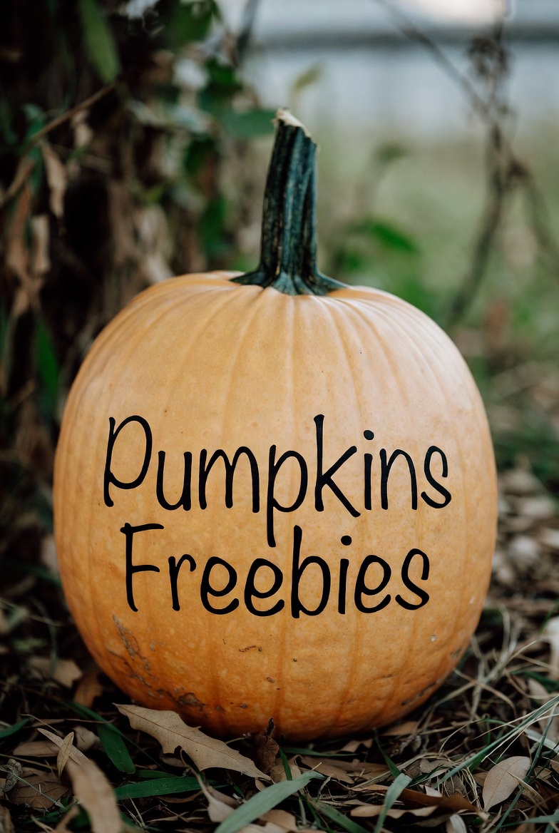 Today's Mystery Freebie