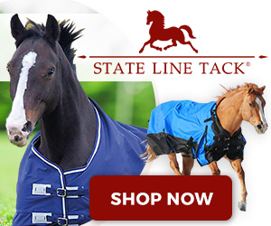Shop Horse and Riding Accessories at StateLineTack.com!
