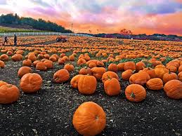 Today's Mystery Free Offer