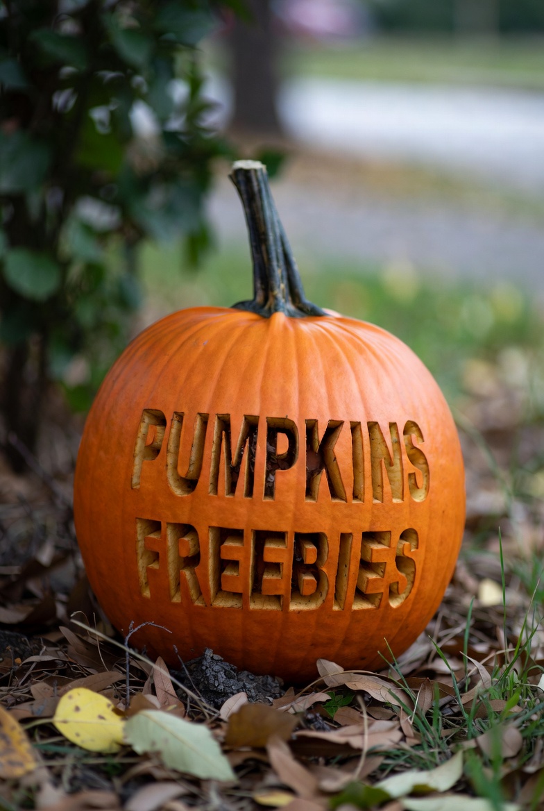 Today's Mystery Free Offer